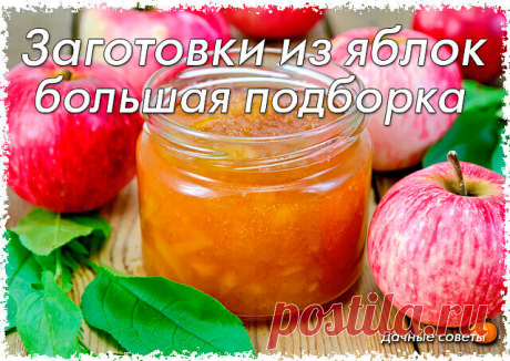 Заготовки из яблок - 26 рецептов!
#кулинария