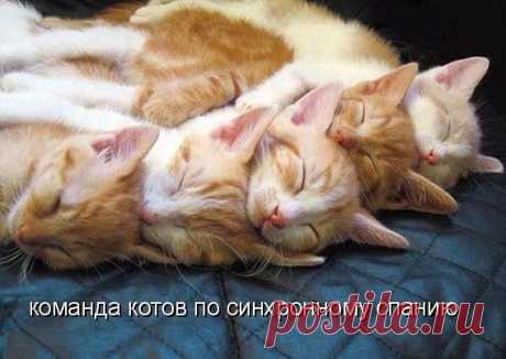 Релакс для души.