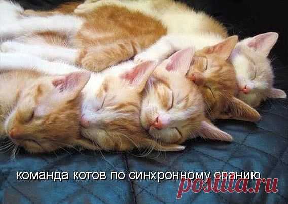 Релакс для души.