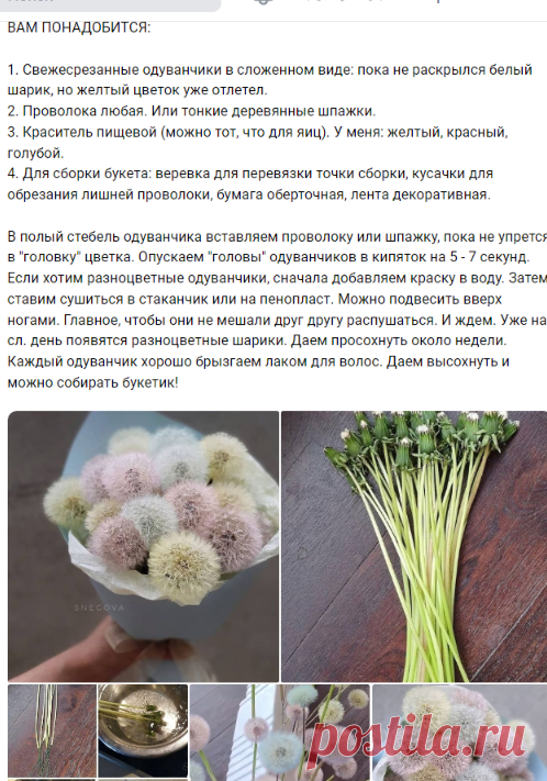 Ольга Гусева
