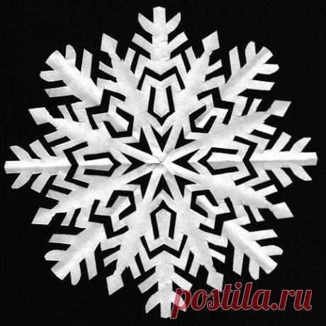 Мария Варначкина
60 лет, Россия, Астрахань