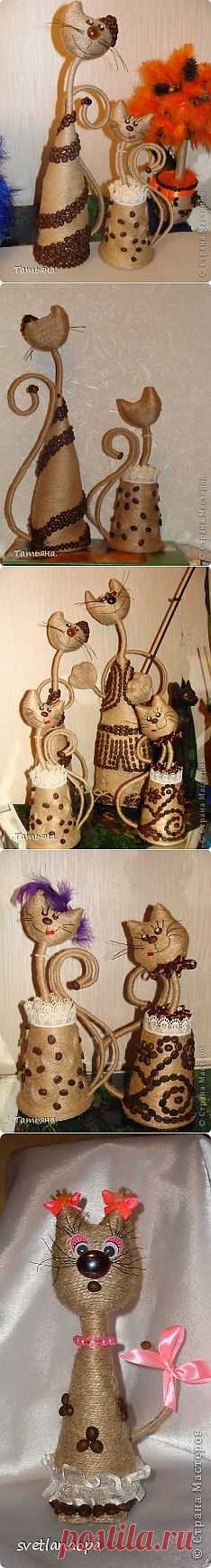 Кофейные кошки.