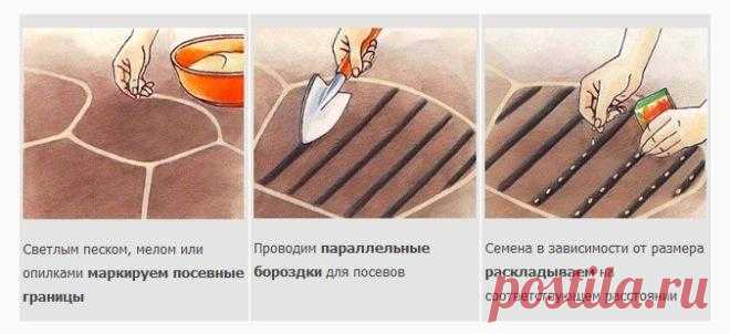 Что делать в цветнике в мае − полный перечень работ
