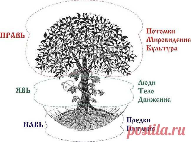 Родовая память - это записанный в подсознании жизненный опыт всех наших Предков.
Древние славяне верили в три стороны бытия: Явь, Навь и Правь. 
Явь - это мужское начало, материальный мир, явленное, то, что мы видим вокруг. 
Навь - это женское начало, духовный, волшебный мир, "тот свет", мир духов, предков, также мир снов. В тёмной Нави находится Пекло (ад). 
Правь - это мир светлых богов, мир законов, мир Сварги - небесного царства и Ирия - славянского рая. Правь - это равновесие.