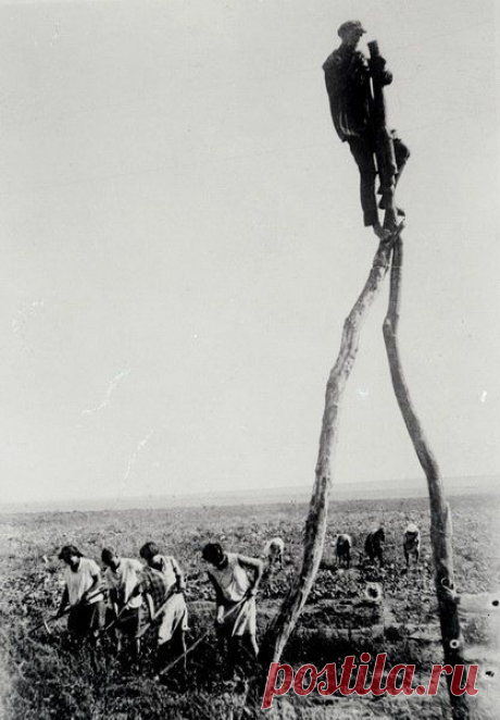 Проводка линии электропередачи в деревне. Нижне-Волжский край,  / История цивилизаций!