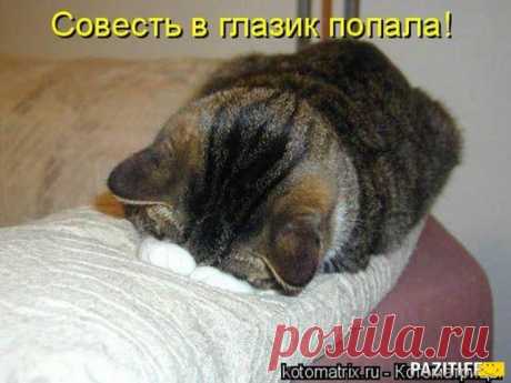 Смайлики и анимашки. В Кругу Друзей — социальная сеть