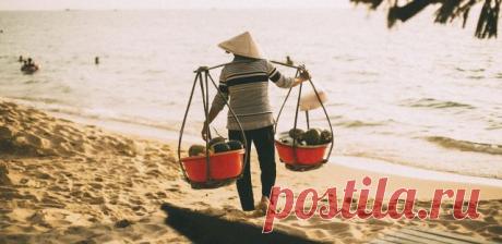 Отпуск во Вьетнаме: где остановиться? Во Вьетнам можно ехать в любое время года, там всегда жара (средняя температура от 22 до 25 градусов). Да и цены на перелеты вполне приемлемые: от 20 до