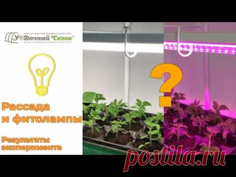 Фитолампы и рассада. Какая фитолампа лучше для рассады?
