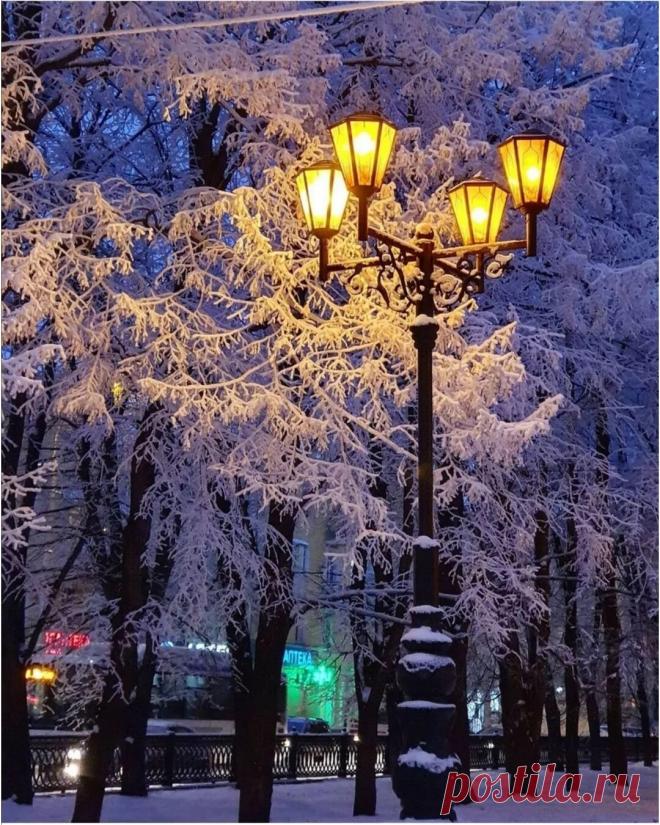 Яндекс Картинки: поиск похожих изображений