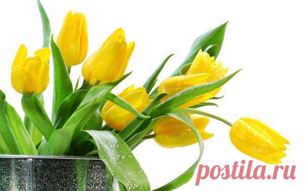 Свечи от геморроя Релиф предотвращают появление морщин.Такое нестандартное использование крема от геморроя поможет разгладить даже глубокие морщины. Все дело в жире печени акулы и других веществах, которые уплотняют и регенерируют ткани и избавляет от отечности. Свечи от геморроя размягчают на водяной бане до кремообразного состояния, затем наносят под глаза или даже на все лицо.Например,чтобы скрыть синяки под глазами и  освежить лицо, просто нанесите крем от геморроя.