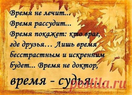 (6) Одноклассники