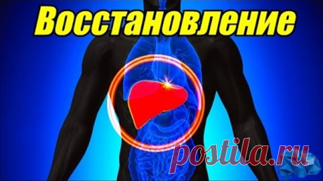 Как Быстро Восстановить ПЕЧЕНЬ (регенерация клеток печени и способы восстановления)