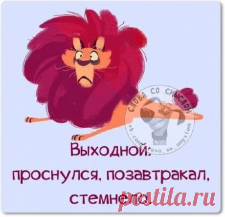 Вчера жена пришла домой пьяной и с порога заявила... Когда святой отец Георгий вмочил по пальцу молотком, он удивил всех не на шутку сказав лишь: Боже, как же так! В аптеке: - У моего мужа проблемы с эрекцией. У вас есть какие-нибудь таблетки? - Вот отличное средство! - Но это таблетки для снижения веса! - Вы пьёте эти таблетки, и у вашего мужа...