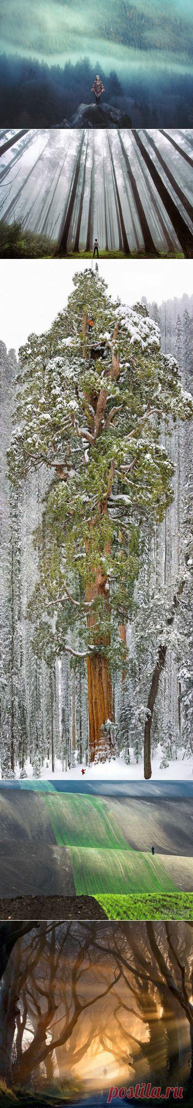 Крошечные люди на фоне величия природы — Болтай