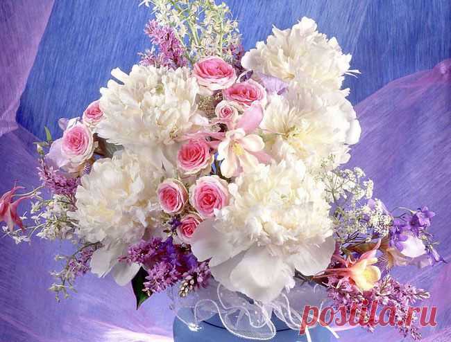 Никогда не стоит никому ничего объяснять. Тот, кто не хочет слушать, не услышит и не поверит, а тот, кто верит и понимает, не нуждается в объяснениях. Омар Хайям