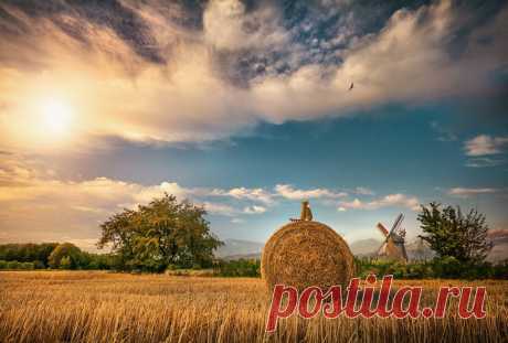 ЮМОР ФОТОПАНОРАМА. ЧАСТЬ ВТОРАЯ | Калейдоскоп новостей | Яндекс Дзен