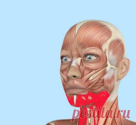 Выглядеть на 10 лет моложе! Упражнения для четкой линии лица
Статья позволит вам узнать о простых и эффективных упражнениях, разработанных с целью восстановления упругости подбородка. Регулярная тренировка мышц лица позволяет укрепить их и улучшить процесс кровообращения. Выполняя несколько простых действий, вы сможете надолго сохранить молодость и привлекательность. Как получить красивую линию...
Читай дальше на сайте. Жми подробнее ➡