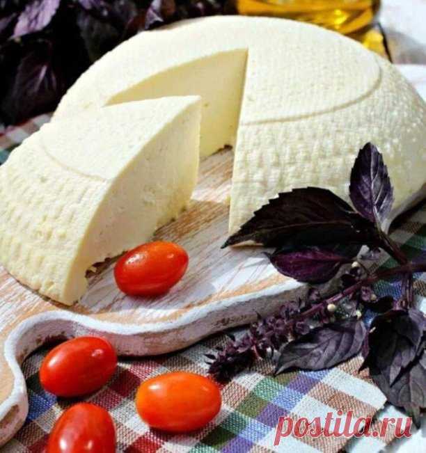 Традицию не нарушаю вторник значит вкусный рецепт !

И сегодня хочу повторить любимый рецепт сыра !

Особенно для моих стройняшек, кто страдает по отсутствию сыра на программе снижения веса !

Дорогие ловите такой сыр Вам можно 

Просто и вкусно 

ИНГРЕДИЕНТЫ 
●Молоко  2,5%- 2 л.
●Соль - 2 ст.л.
●Яйцо куриное - 6 шт.
●Сметана10% - 400 гр.
●Кефир 2,5%- 1 ст.

ПРИГОТОВЛЕНИЕ. 
Молоко закипятить с солью.
В отдельной чаше взбить яйца со сметаной и кефиром и влить всё в молоко, ...