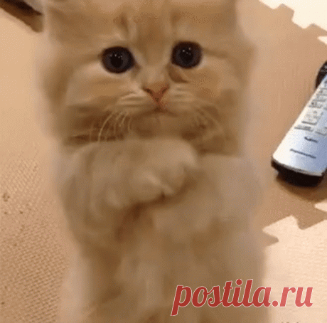 - Ну поделись, не жадничай...