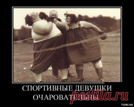 ВСЁ О НЁМ--БОКСЕ!