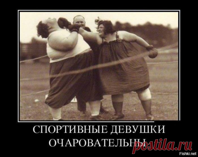 ВСЁ О НЁМ--БОКСЕ!