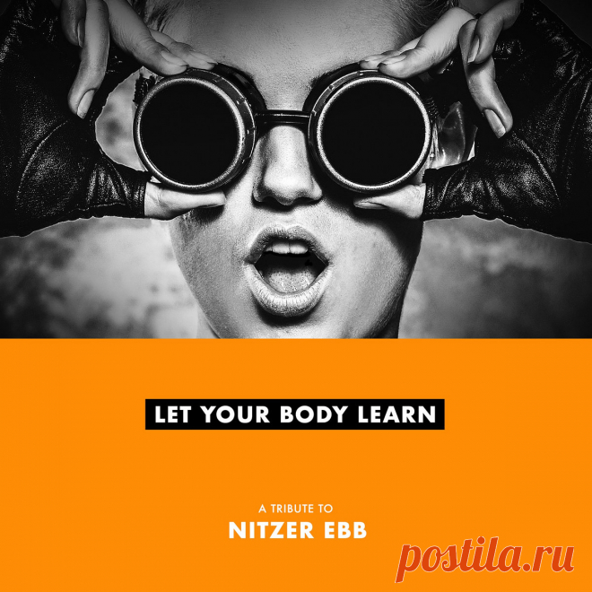 VA - Let Your Body Learn (A Tribute To Nitzer Ebb) (2025)