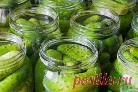 Маринованные огурцы без уксуса и без сахара: простой проверенный рецепт - Вкусные рецепты - медиаплатформа МирТесен Даже самые опытные хозяйки нередко годами ищут свой идеальный рецепт маринованных огурцов. Те недостаточно хрустящие, другие слишком быстро портятся. Эти и многие другие разочарования непременно настигают их. Предлагаем вам проверенный и крайне простой рецепт маринованных огурцов без уксуса и