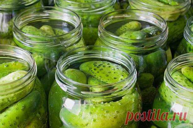 Маринованные огурцы без уксуса и без сахара: простой проверенный рецепт - Вкусные рецепты - медиаплатформа МирТесен Даже самые опытные хозяйки нередко годами ищут свой идеальный рецепт маринованных огурцов. Те недостаточно хрустящие, другие слишком быстро портятся. Эти и многие другие разочарования непременно настигают их. Предлагаем вам проверенный и крайне простой рецепт маринованных огурцов без уксуса и