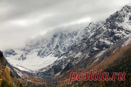 По дороге к реке Куйгук, Алтай. Автор фото: Ольга Антонова.