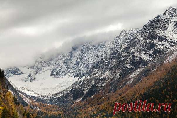 По дороге к реке Куйгук, Алтай. Автор фото: Ольга Антонова.