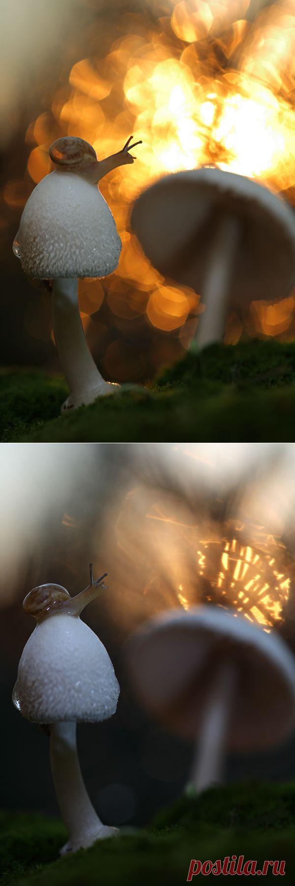 35PHOTO - Вадим Трунов - Уходящее солнце