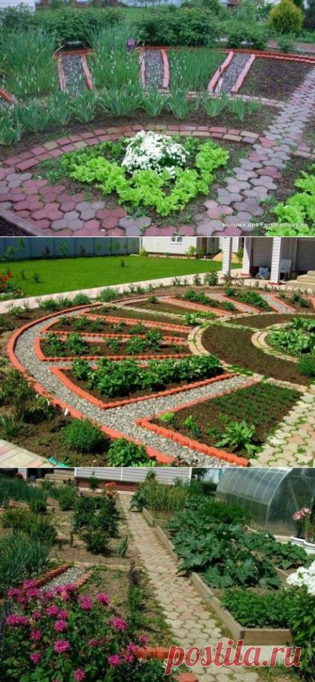 Вот это огород, Красота.