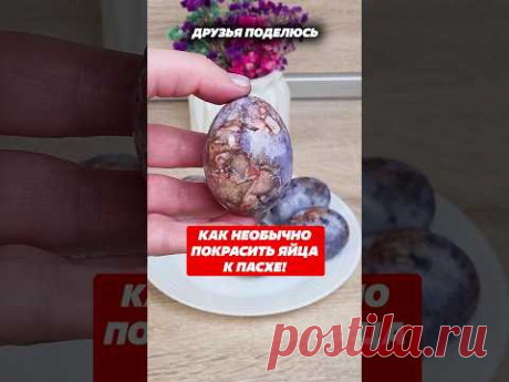 Редкий, весенний цветок сангвинария канадская махровая