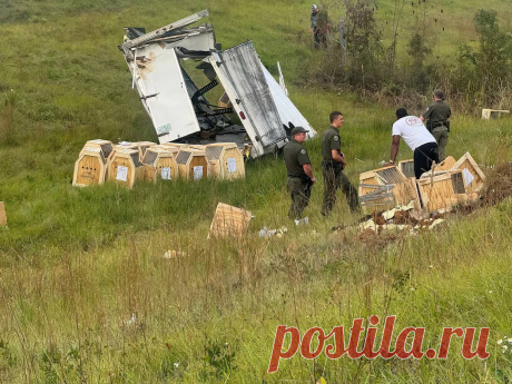 Кажется, началось... https://www.seoded.com/2025/10/makaki.html
#безопасность #животные #здоровье #государство #сша