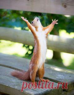 Diese 30 Fotos werden dein Herz zum Schmelzen bringen. Schon nach Nr. 10 bist du hin und weg.