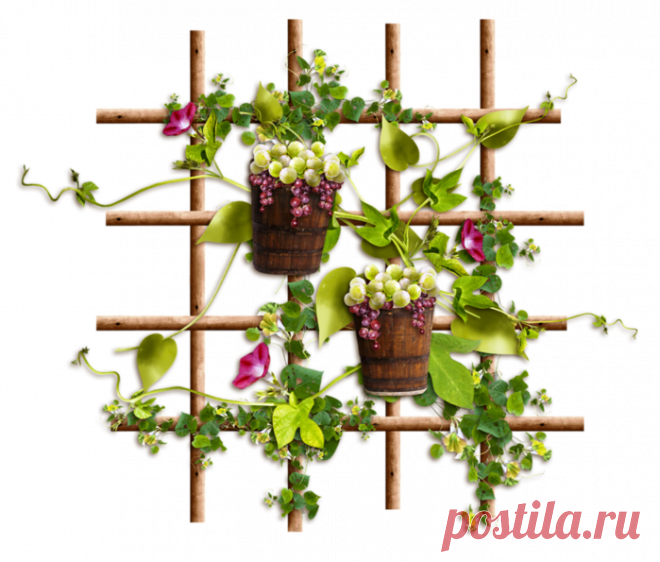 Дневник abcd21(Oksana)