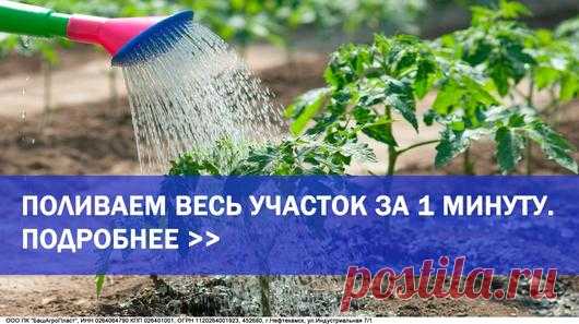 Мой Мир@Mail.Ru