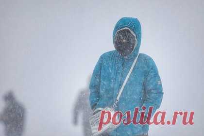 Нескольким регионам России предсказали штормы. Циклон «Оливер» принесет шторм с порывами ветра до 25 метров в секунду в Алтайский край, Новосибирскую, Томскую области, Кузбасс и Хакасию. В регионах из-за температурных контрастов также ожидаются обильные осадки — от снега до дождя и ледяного дождя, а также гололедица.