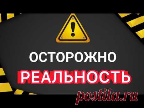 Добавки из насекомых 🪲