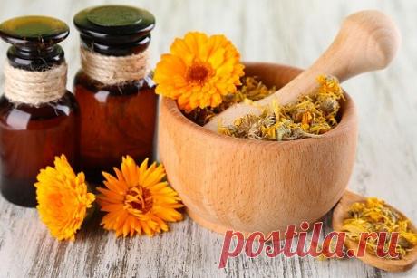 ЭкоМедицина и Марва Оганян в Instagram