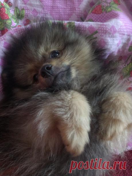 Мишутке 2 месяца