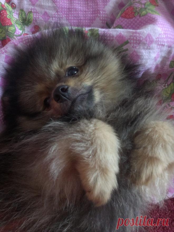 Мишутке 2 месяца