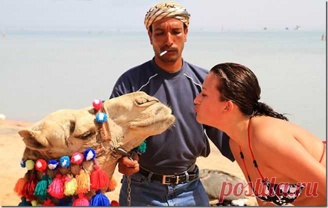 5 видов обмана туристов в 2013 году | Интересные факты