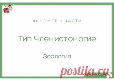 Доброе утро! Скачивайте обновленную тестовую подборку по 1 части ЕГЭ. 41 вопрос по Типу Членистоногие. Все номера собраны из сборников Рохлова, Калиновой и вариантов Статград. Успешной подготовки!