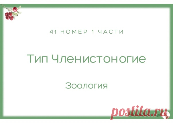 Доброе утро! Скачивайте обновленную тестовую подборку по 1 части ЕГЭ. 41 вопрос по Типу Членистоногие. Все номера собраны из сборников Рохлова, Калиновой и вариантов Статград. Успешной подготовки!