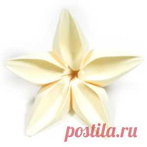 How to make an origami jasmine flower: page 1