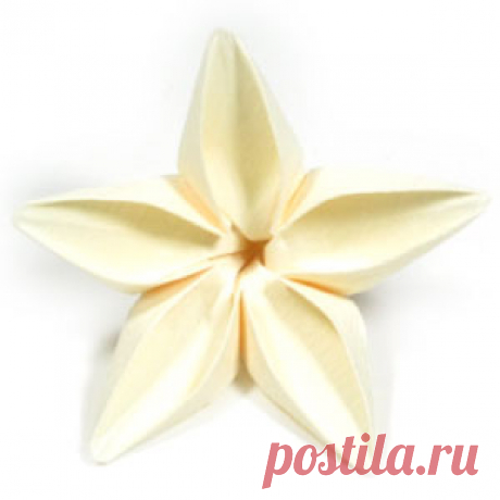 How to make an origami jasmine flower: page 1