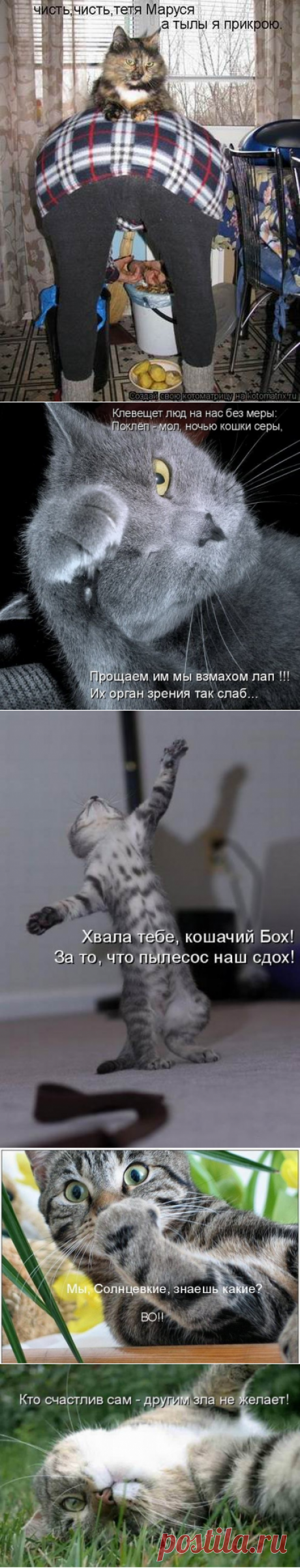 Мысли вслух