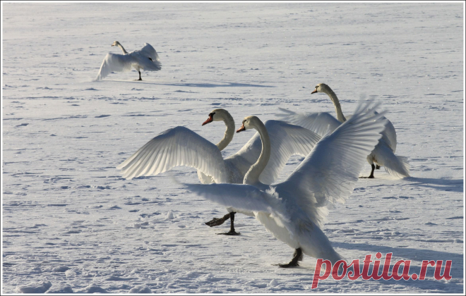 Стой,а поговорить