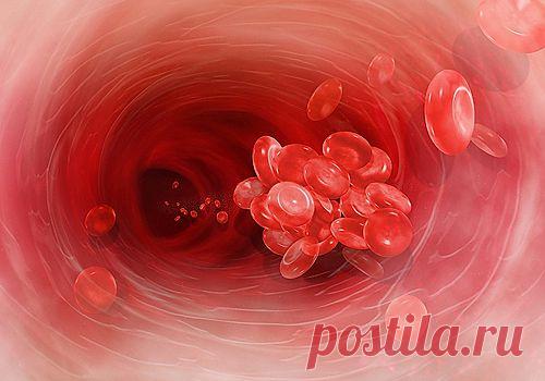 Густая кровь. Рецепты для разжижения крови.